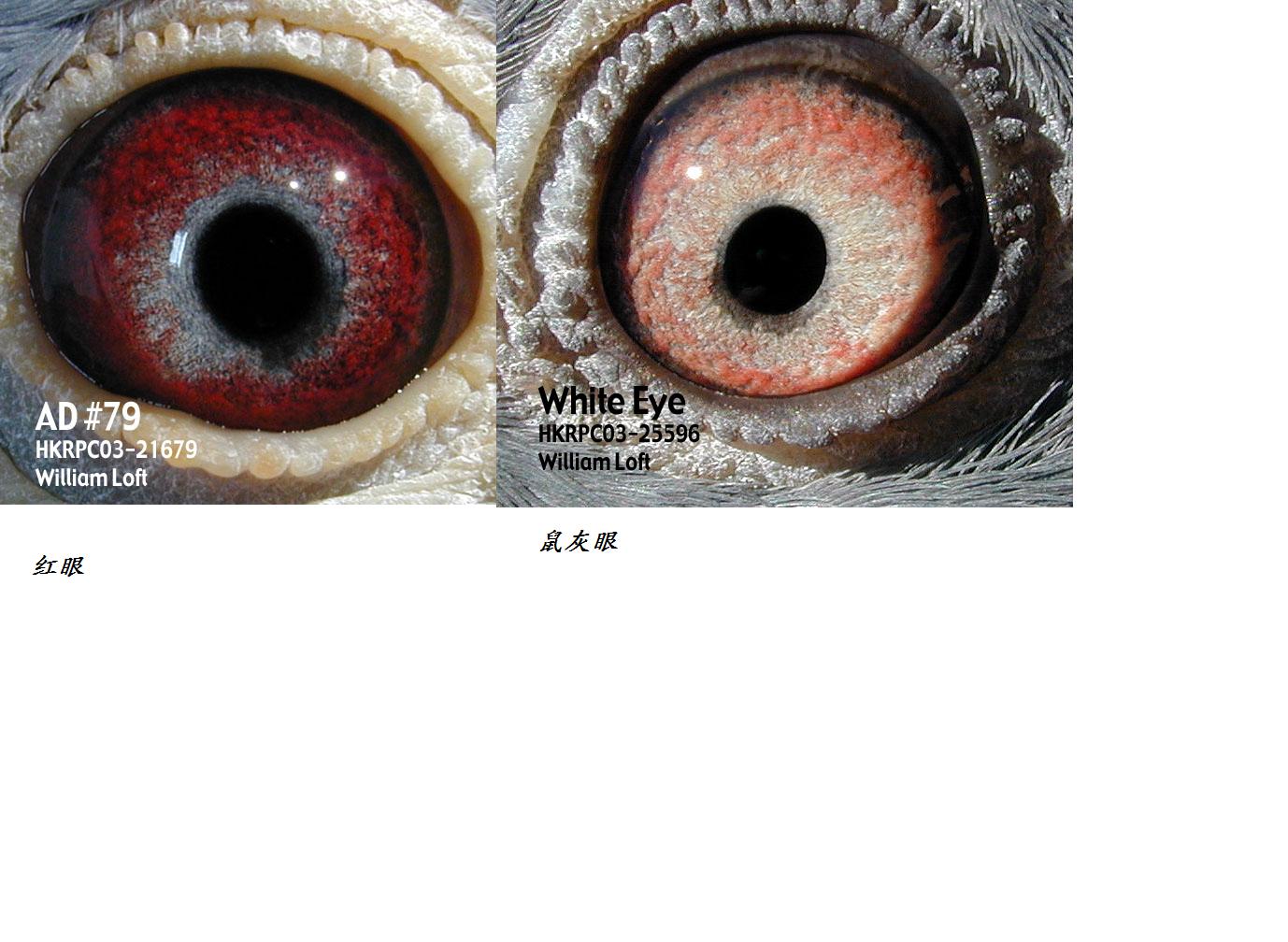 红眼睛是什么吸毒者的特征-红眼睛是_吸毒者的