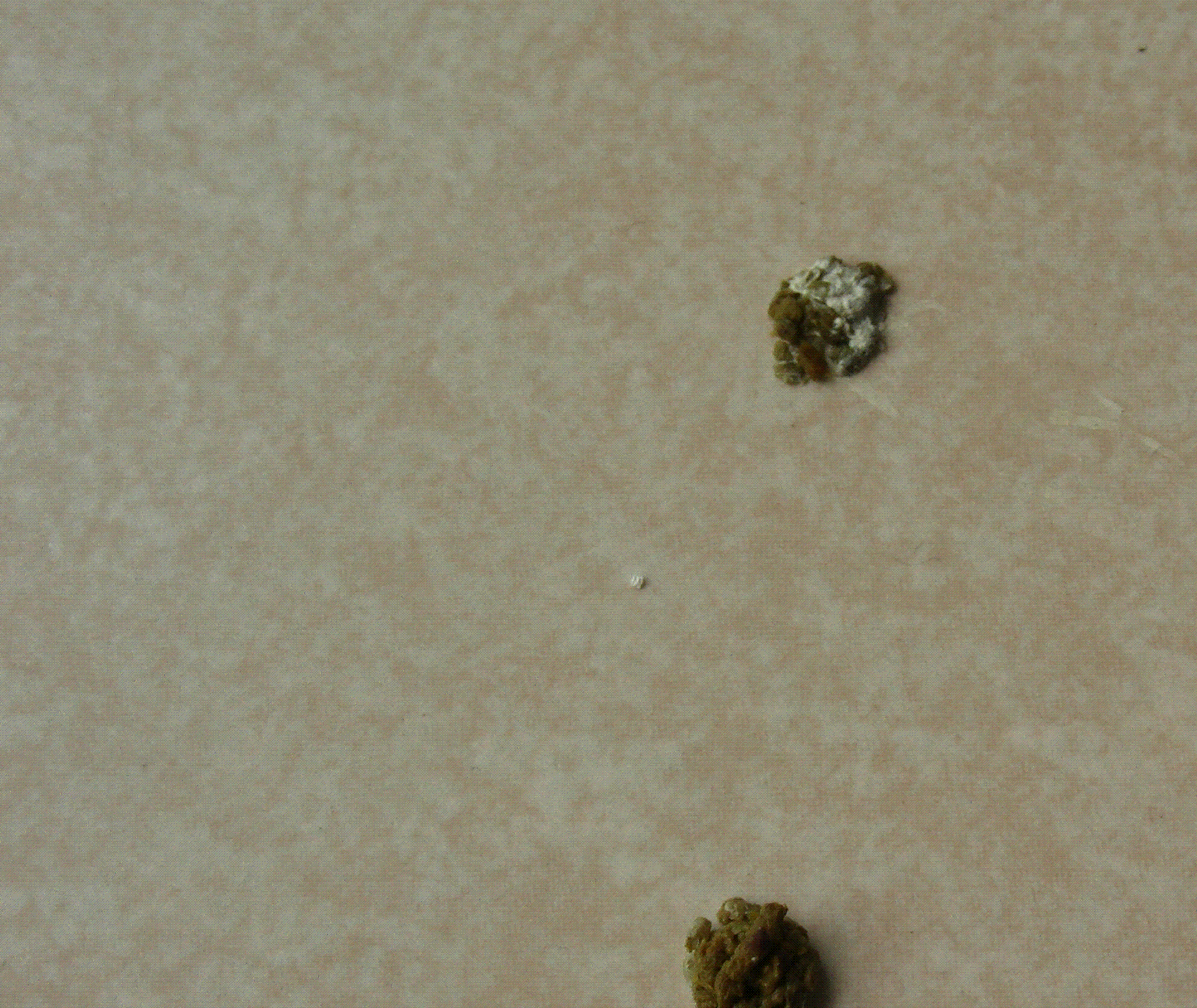 071115114525.GIF