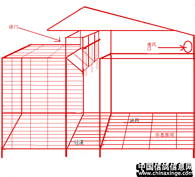 鸽舍建造的问题.