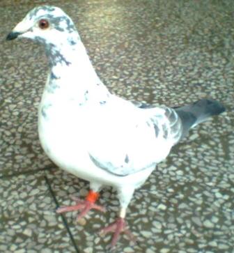 090407230614.JPG