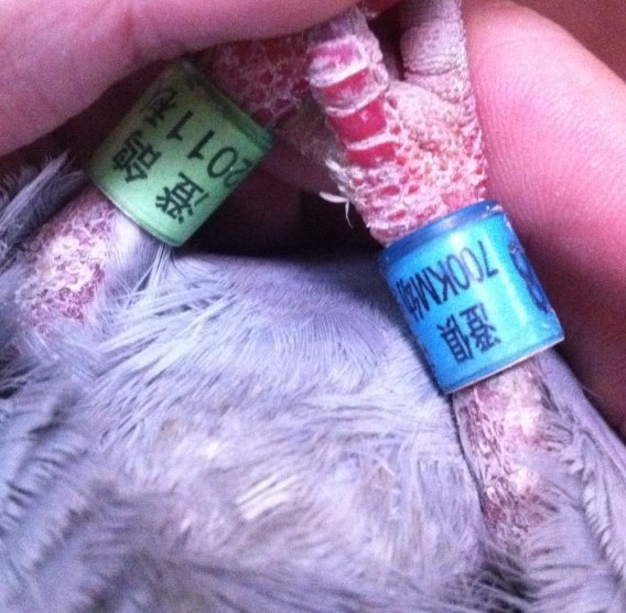 高手们帮帮忙-高手们,帮帮忙