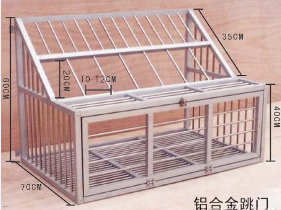 鸽子跳笼设计图-我旁边村的有个人养鸽子 老是到我家来吃 做跳门好