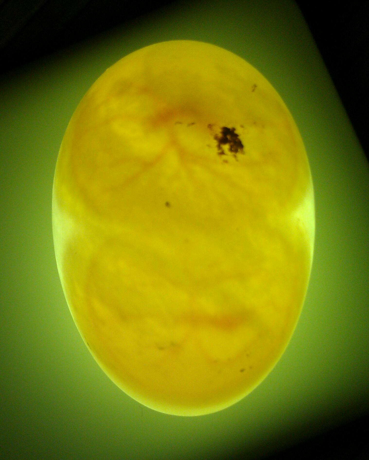 一组鸡蛋|摄影|静物|长芽的花生 - 原创作品 - 站酷 (ZCOOL)