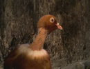 �����