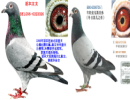 �����
