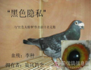 点击打开