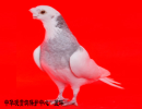 �����