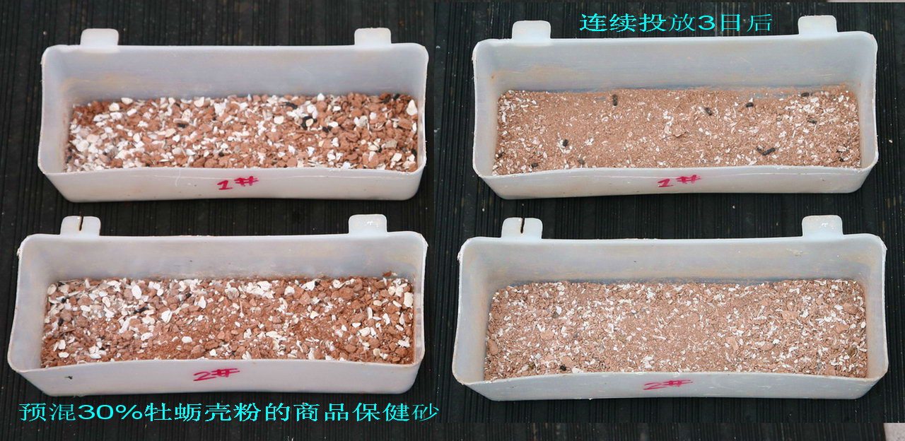 求教保健砂-天下鸽问-ask.chinaxinge.com