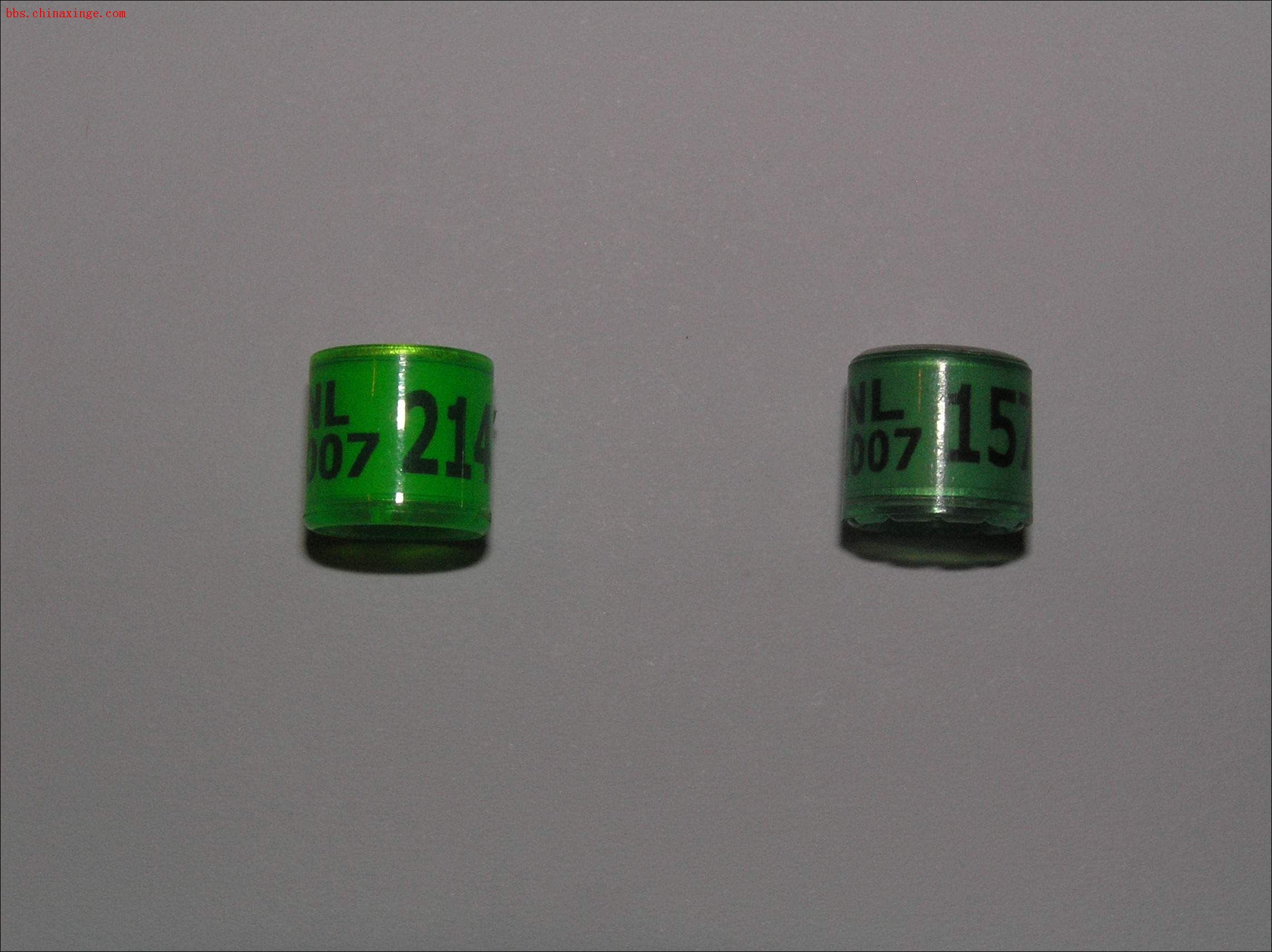 勇霏鸽舍请进,07年荷兰足环对照