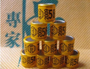 taiwai09年的足环是什么颜色的啊?taiwan是竖着写的和09中间有只鸽子