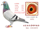 �����
